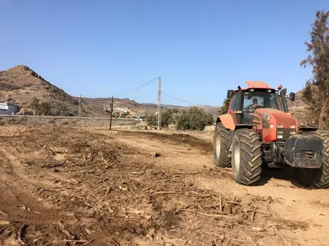 Desbroce de una parcela en Tauro — foto 5