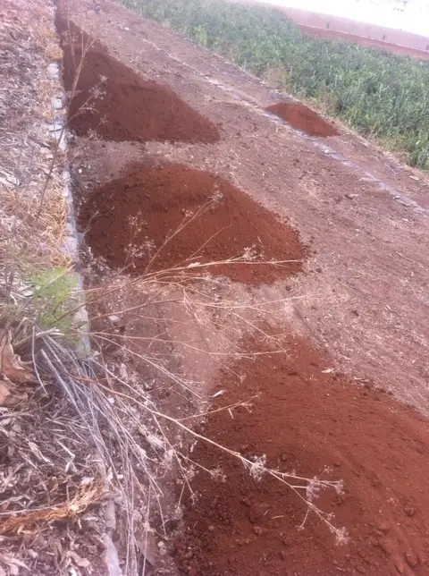 Preparación de terreno agrícola en la Finca Bañaderos — foto 6