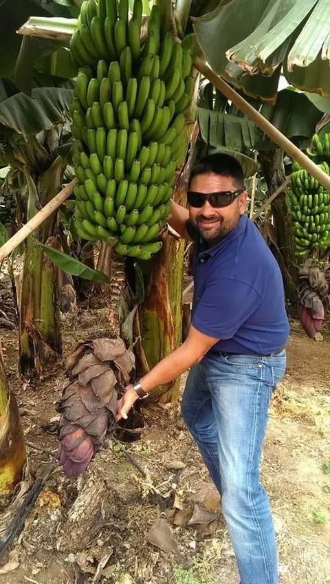 Preparación de terreno agrícola en la Finca Bañaderos — foto 7